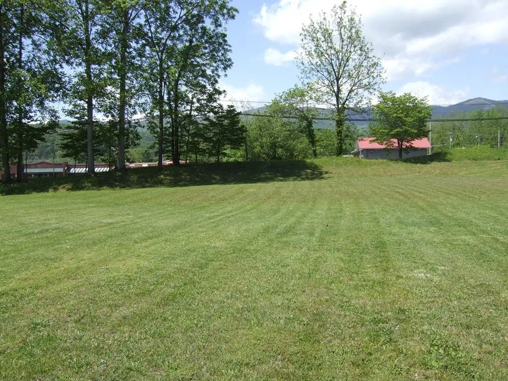 Picture 11