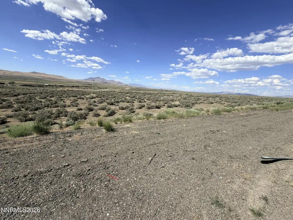 Picture 9