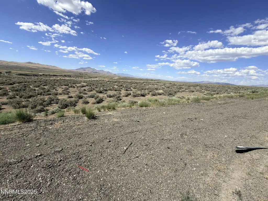 Picture 8