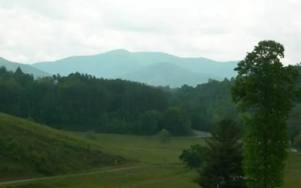 Picture 5