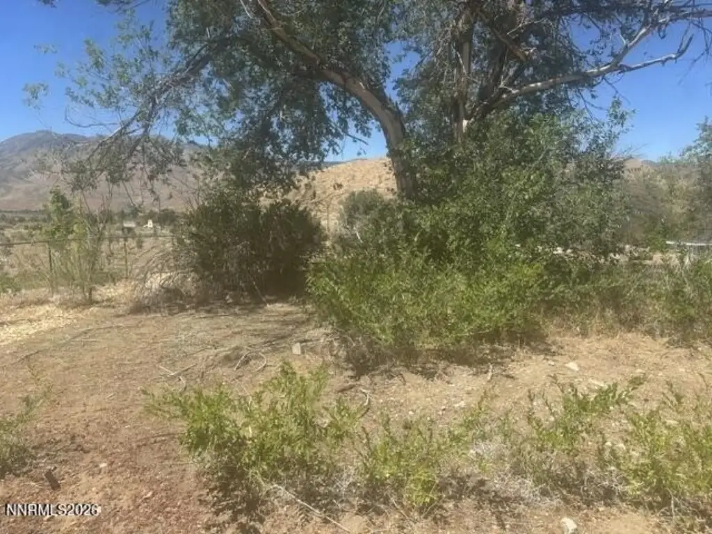 Picture 36