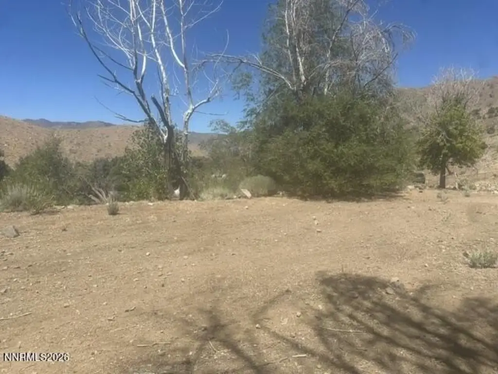 Picture 41