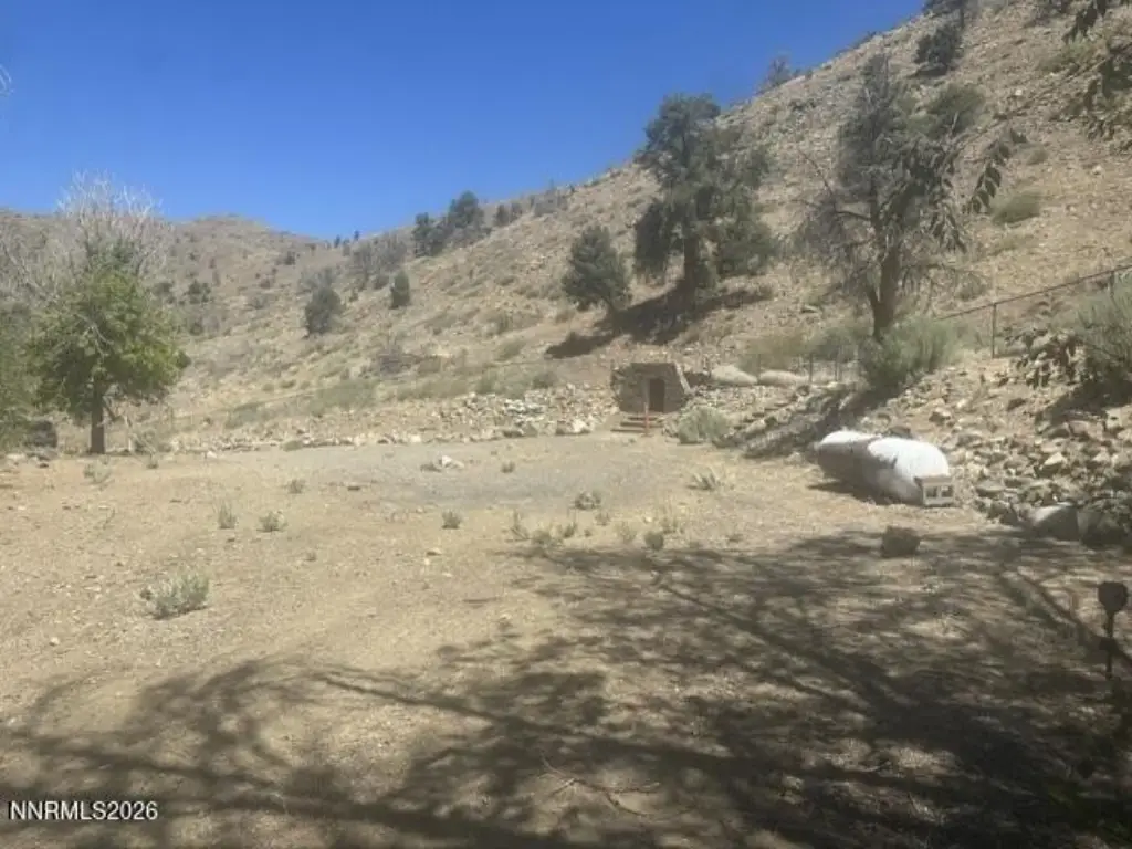 Picture 28