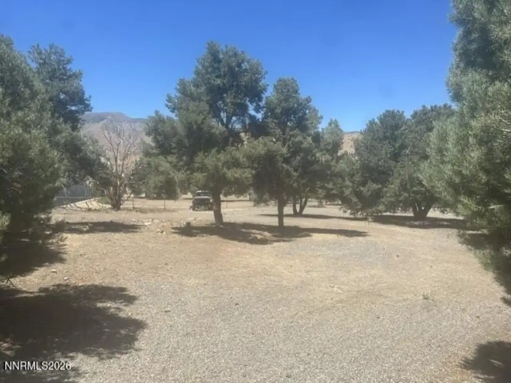 Picture 21