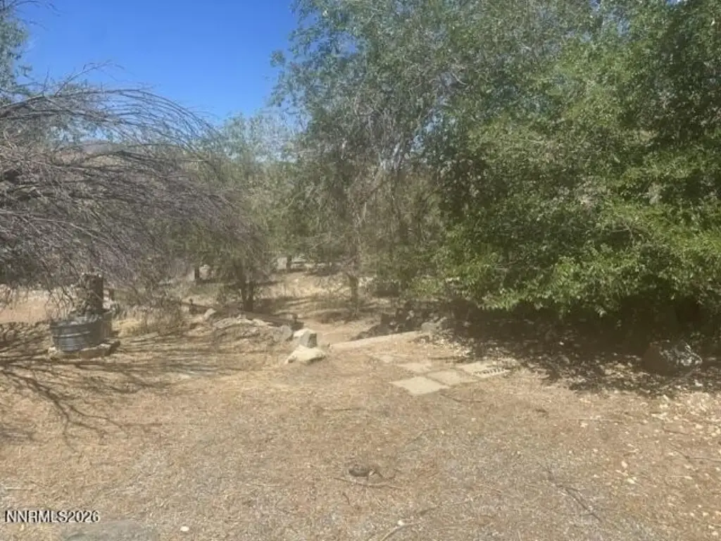Picture 69
