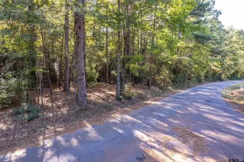 24 Acres Wooded Retreat, Texas