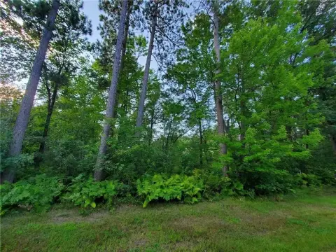 Residential Land in Crow Wing