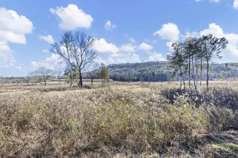 Dover Acreage in Ozark Mountains