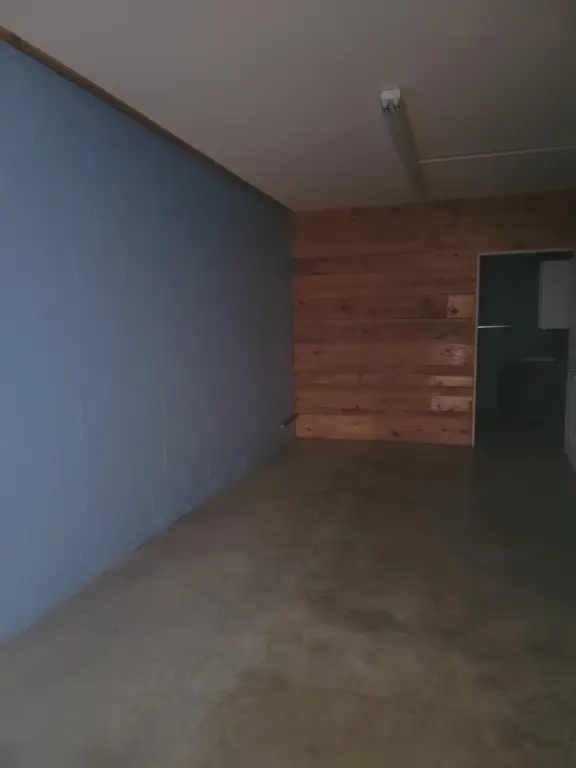 Picture 5