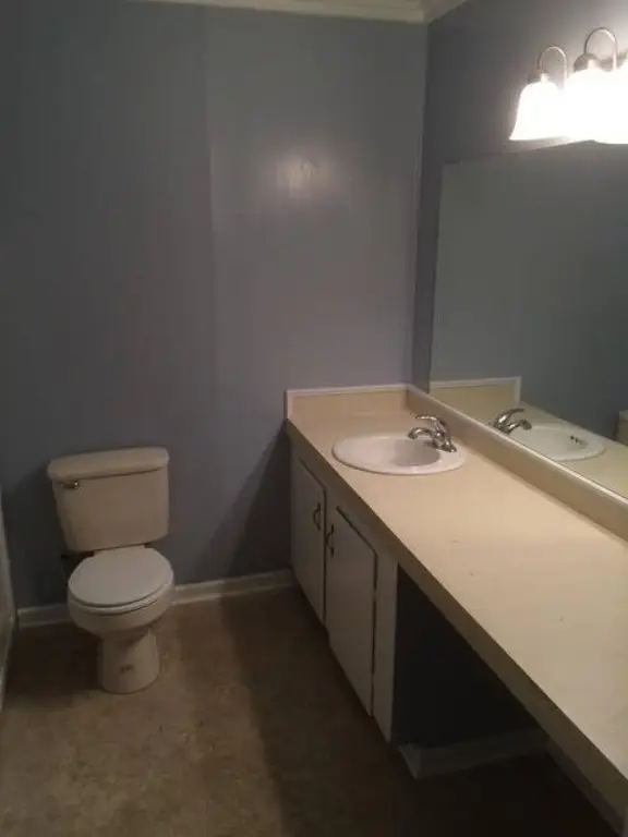 Picture 31