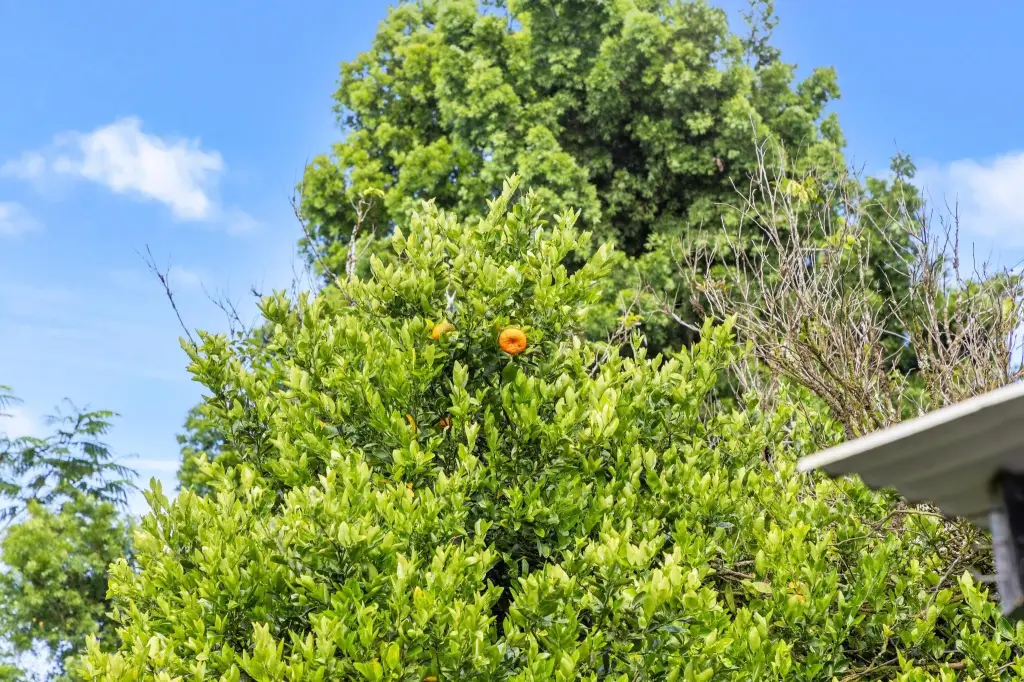 Picture 22