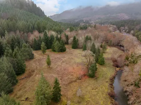 30 Acres with Timber Value