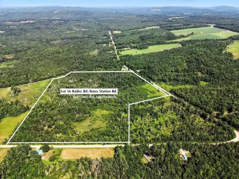 38-Acre Wooded Parcel in Knox