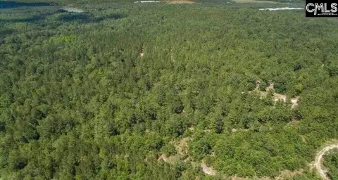 Secluded Acreage with Creek Frontage