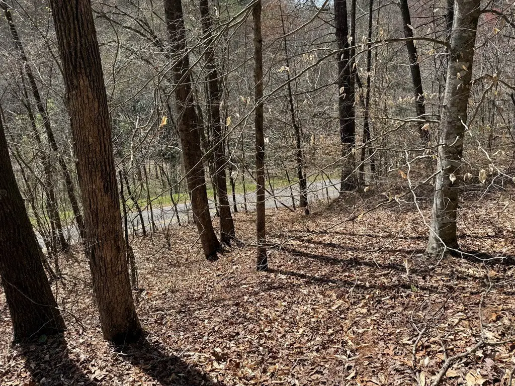 Picture 3