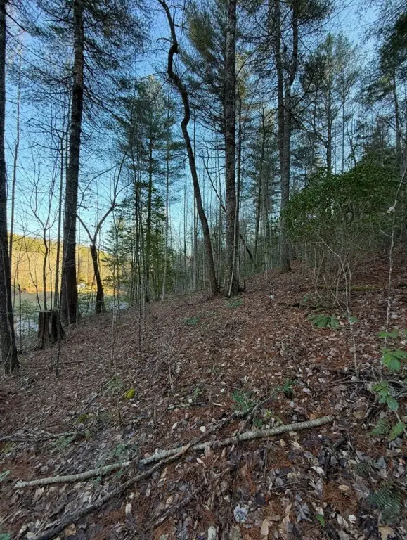 Picture 4