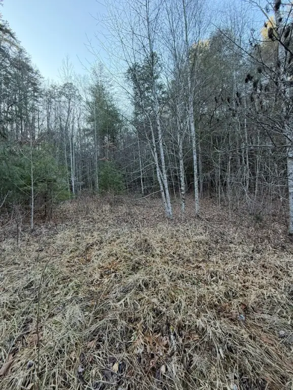 Picture 17