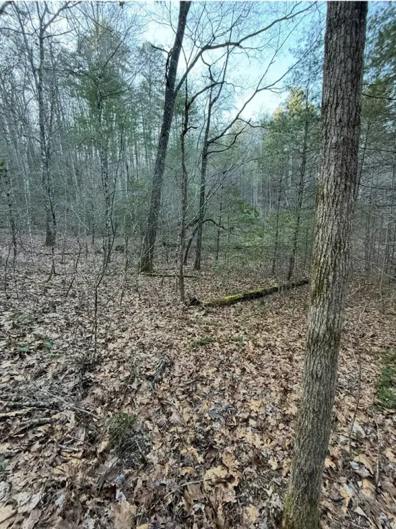 Picture 12