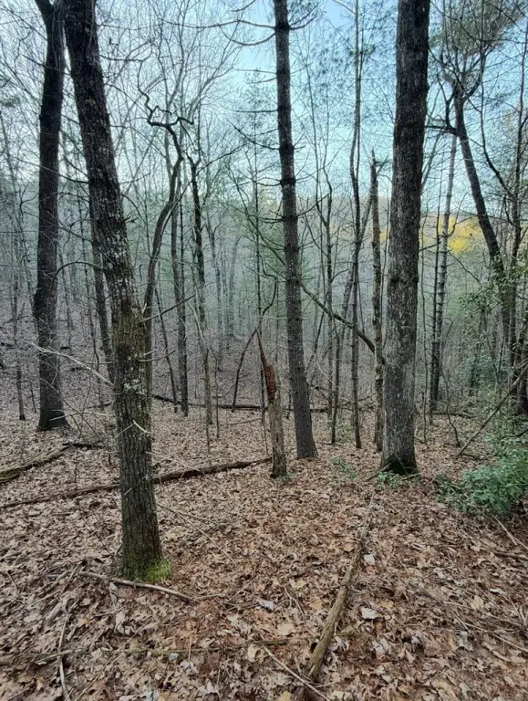 Picture 10