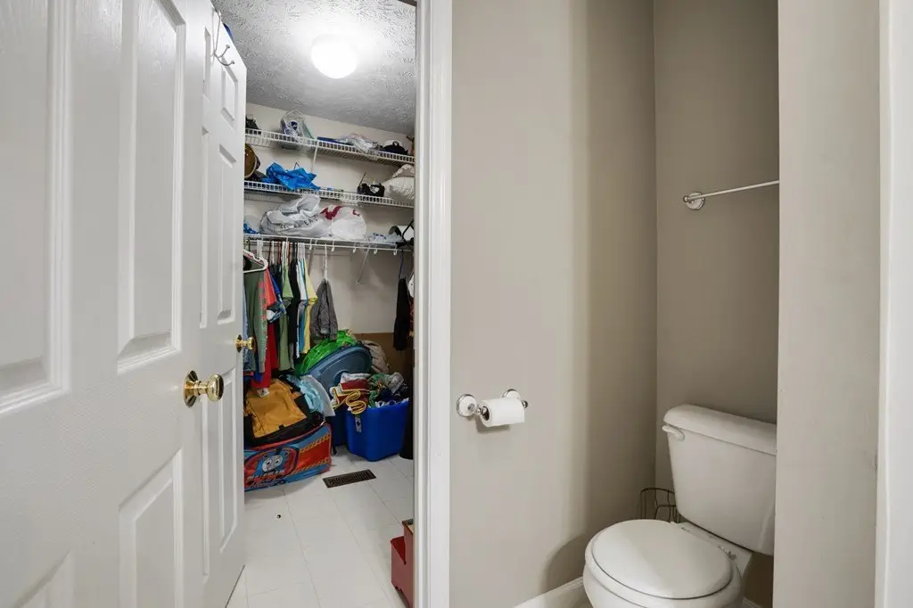 Picture 24