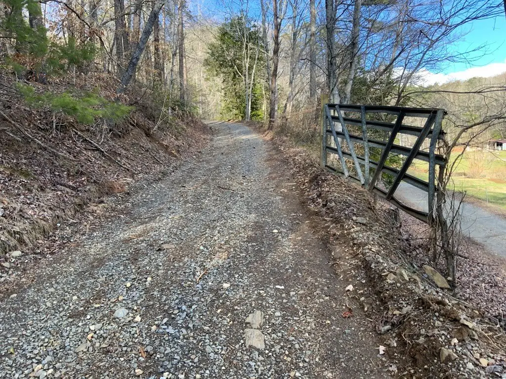 Picture 15