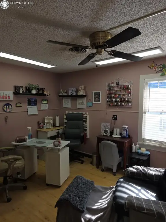 Picture 8