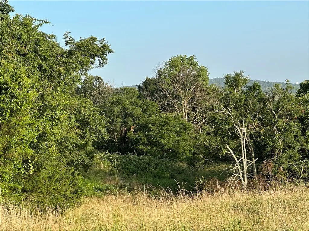 Picture 23
