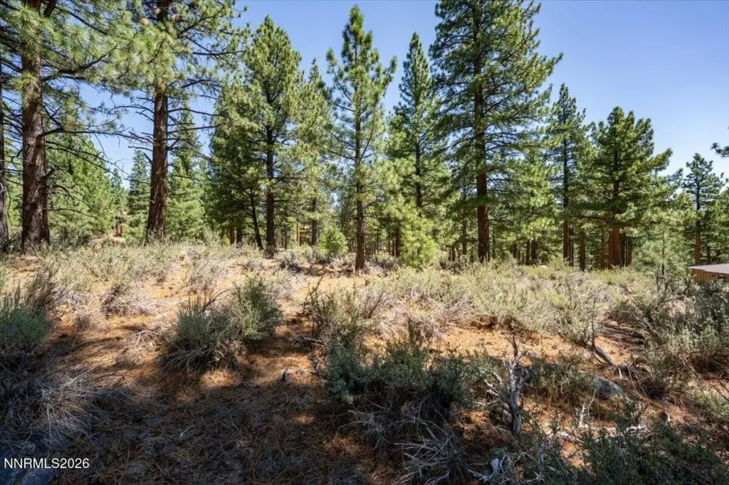 Picture 19