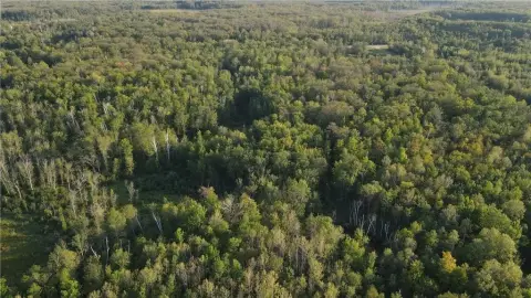 38 Acres of Wooded Recreation Land