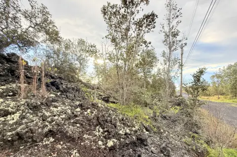 Big Island Acreage Opportunity