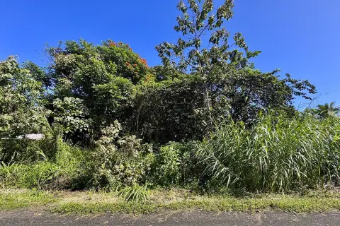 Vacant Oversized Lot Near Pahoa