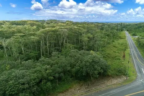 Large Subdividable Land Parcel in Pahoa