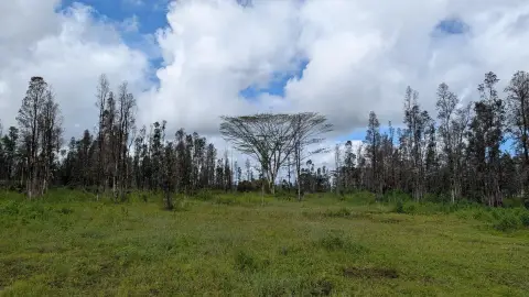 Keaau Land Parcel For Sale