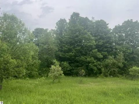 Kalkaska Vacant Land For Sale