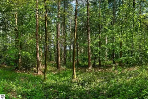 Wooded Double Lot in Oscoda