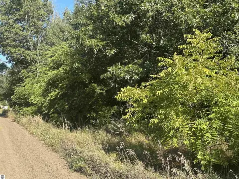 Spacious Lots Near Crooked Lake