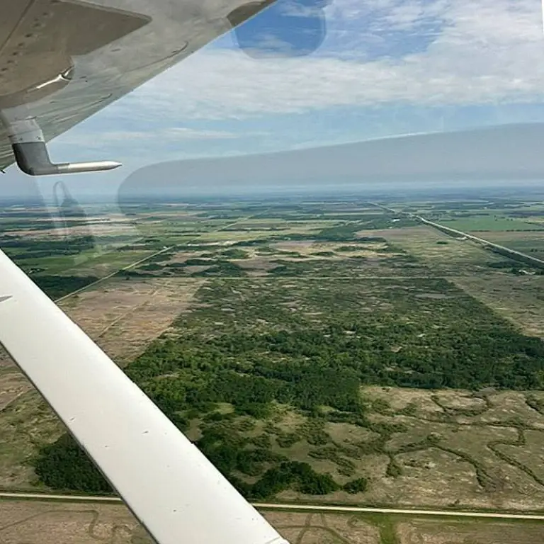 Picture 26