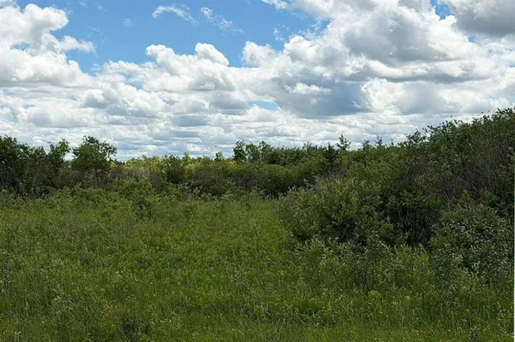 Picture 12