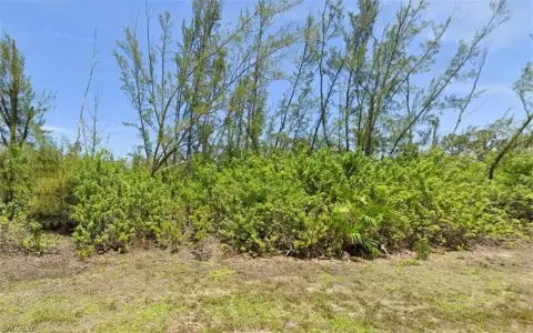 Residential Lot in Port Charlotte