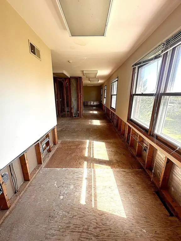 Picture 12