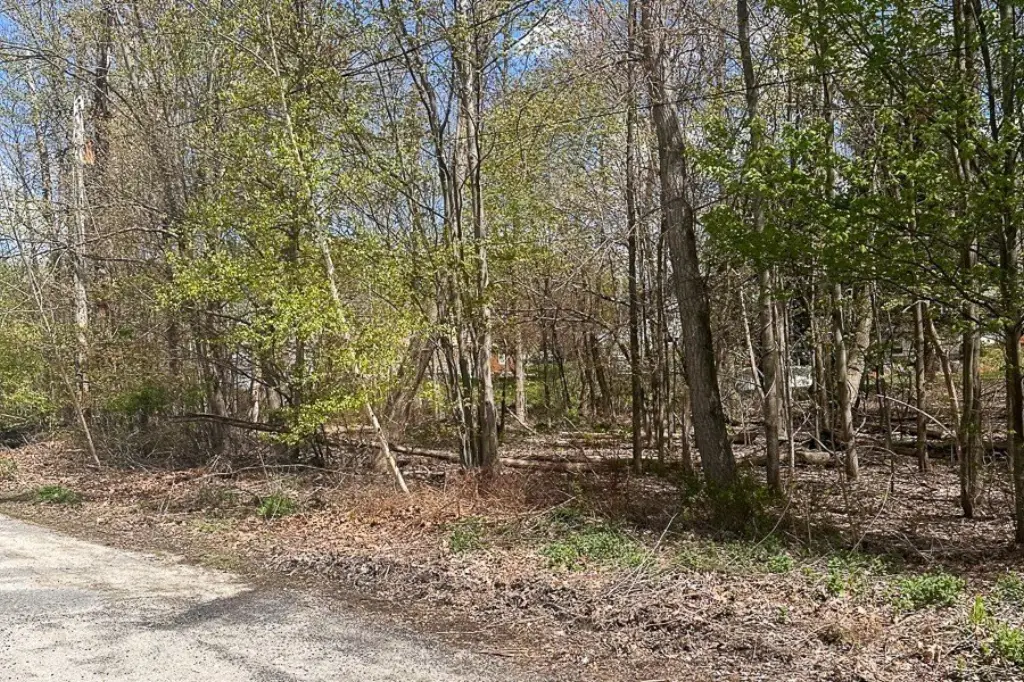 Picture 5