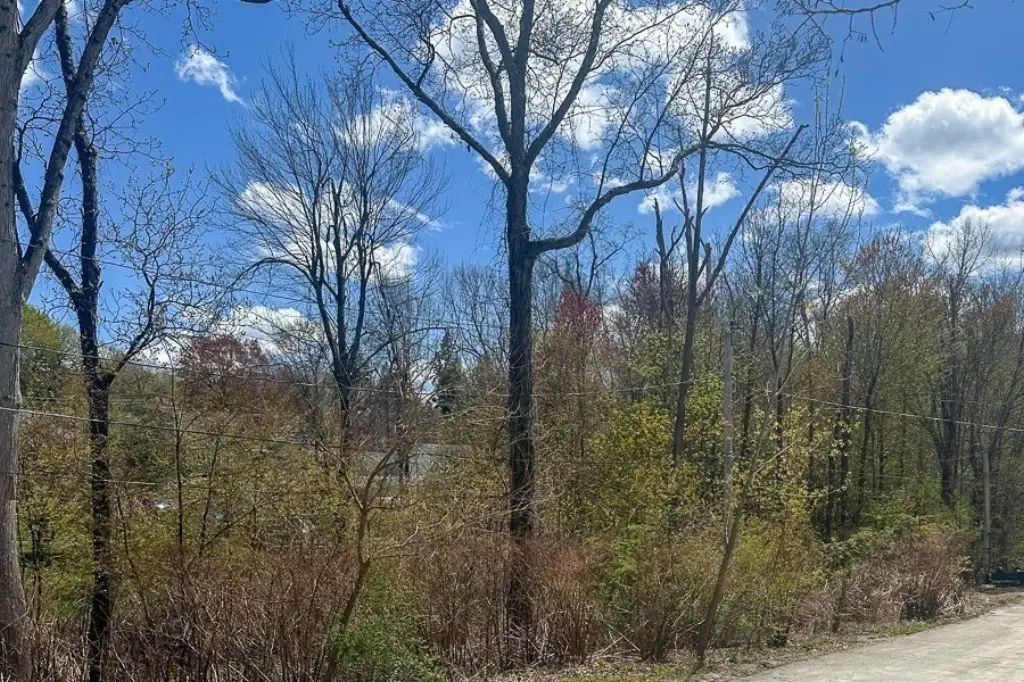 Picture 3