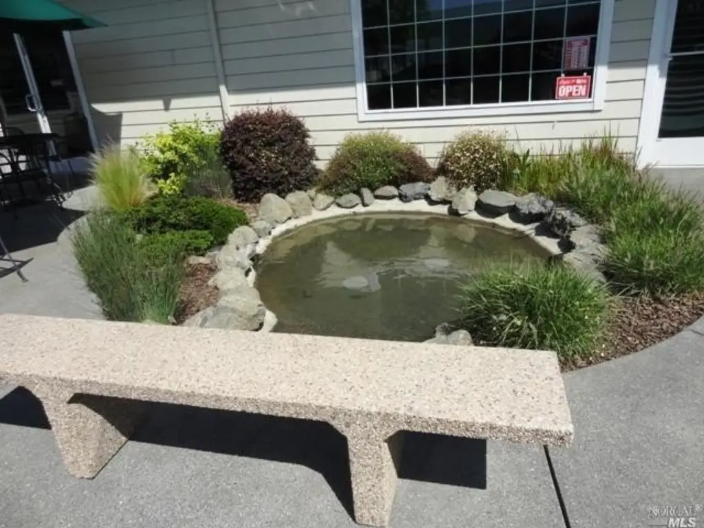 Picture 13