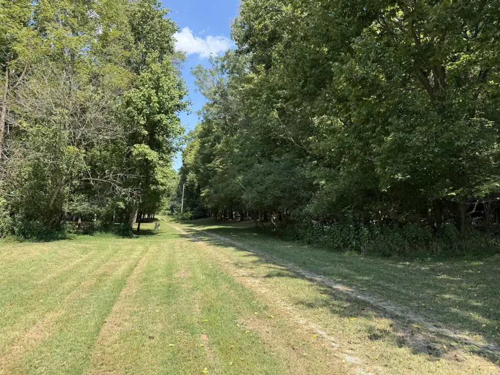 Picture 41