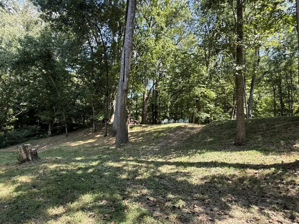 Picture 30