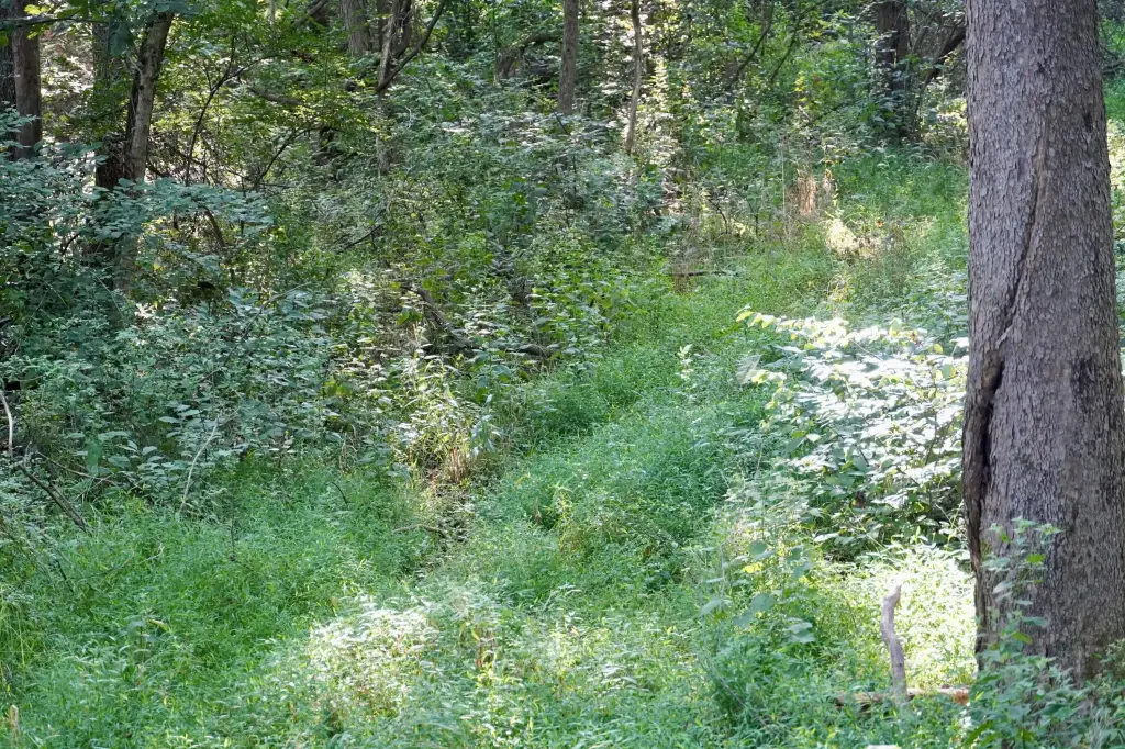 Picture 42