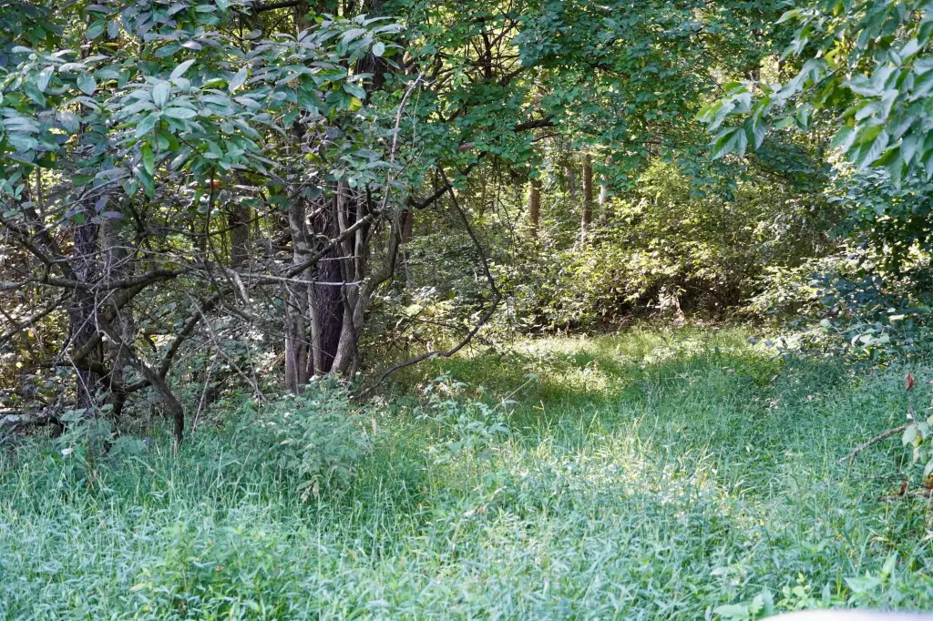 Picture 14