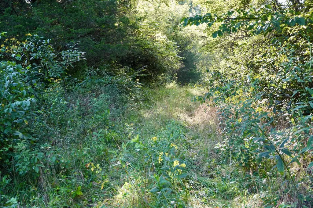 Picture 28