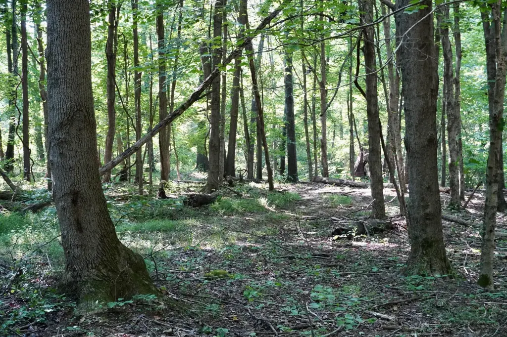 Picture 7