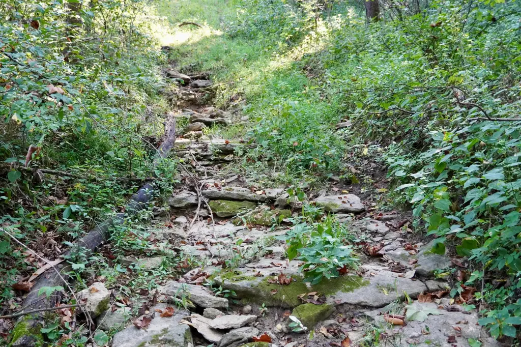Picture 40
